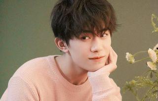 易烊千玺考编圈内爆料,娱乐圈偶像的职场新挑战