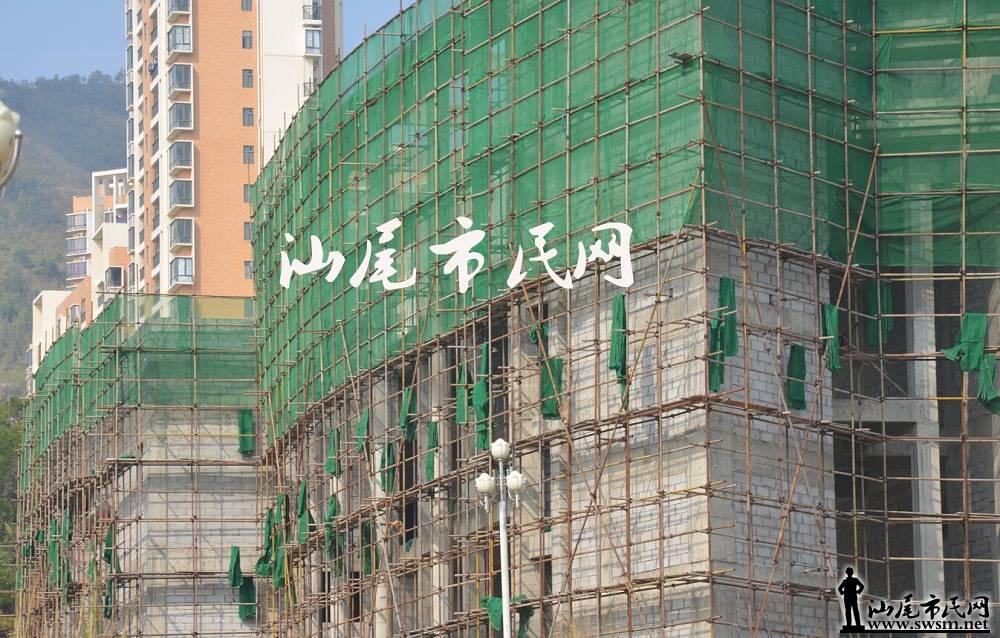 海丰市最新爆料消息新闻,揭秘重大新闻事件背后的真相